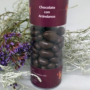 Arándanos Achocolatados 100g